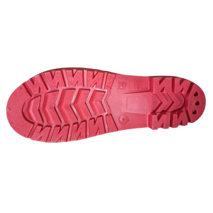 Gumowce  wysokie   PROCERA